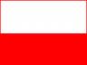 Yellow Media Group - Polski